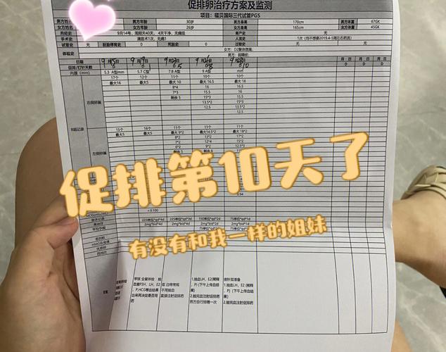 试管代怀哪家成功率高(试管代怀哪家成功率高？选择最佳代孕机构的关键因素)