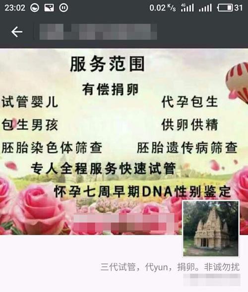 试管代怀网站电话(试管代怀网站电话：专业代孕服务热线”)