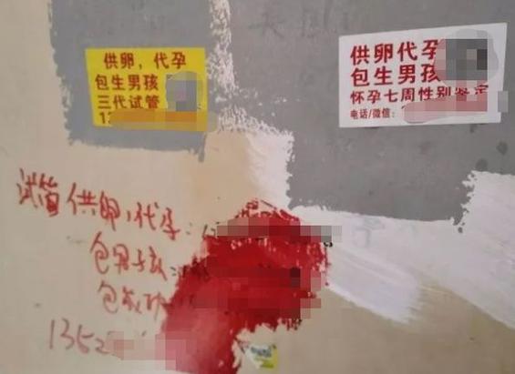国外哪里可以借卵生子-国外哪里可以借卵生子：全球代孕中心大揭秘