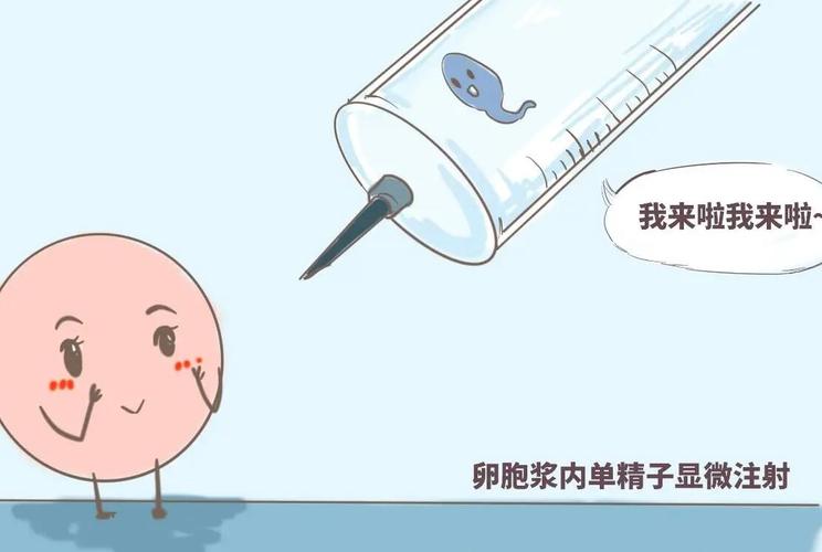 试管供卵代生男孩_试管婴儿：代孕男孩计划